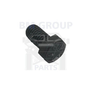 5593207 BOLT, HEX HEAD