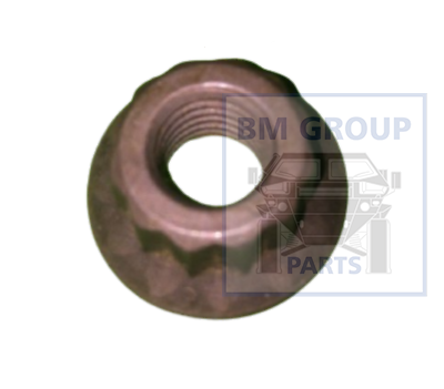 12550863 NUT INJECTION PUMP - BM Parts 